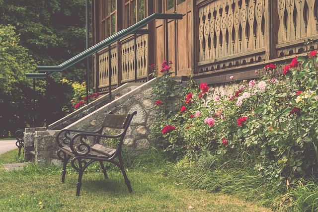 全新且具有 全新且具有