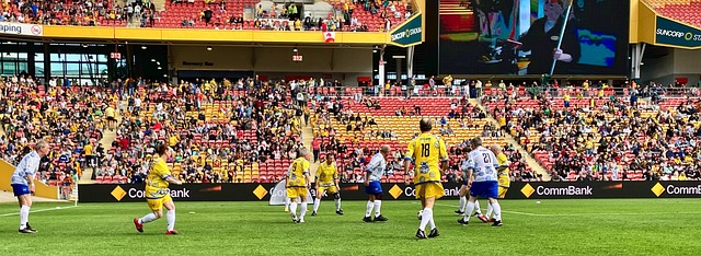 使得摩納哥 使得摩納哥