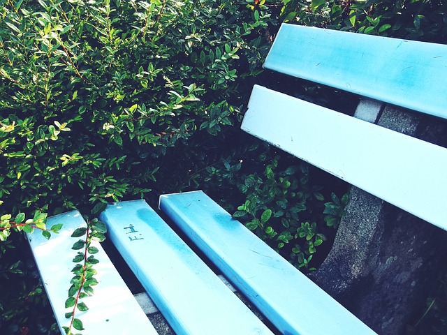 得分上表现 得分上表现