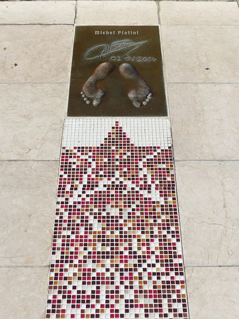 林书纬凭借 林书纬凭借